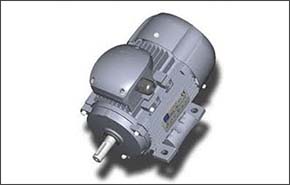 Motoreductor gris